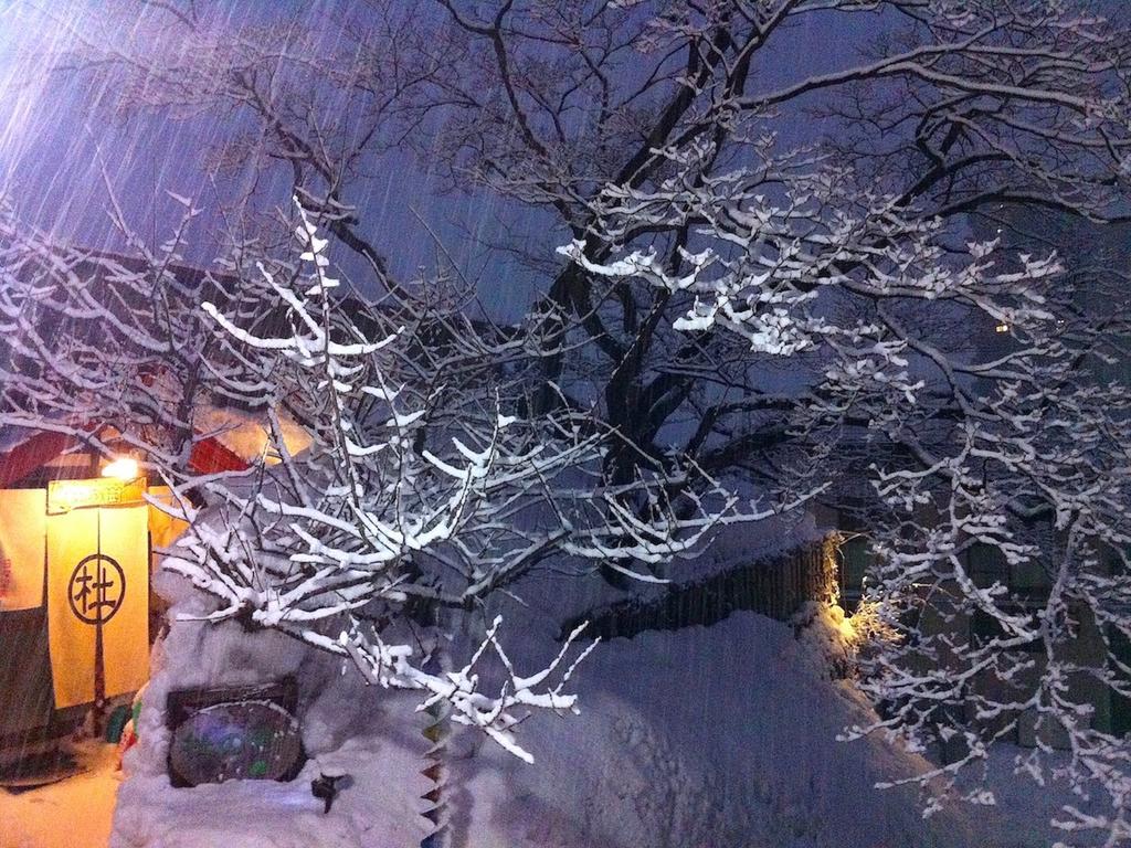 The Otaornai Backpacker'S Hostel Morinoki Otaru Exterior foto